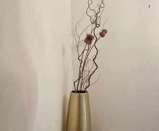 La Maison De Lily, Cosy Dans Le Vieux-hyeres, Parking Gratuit