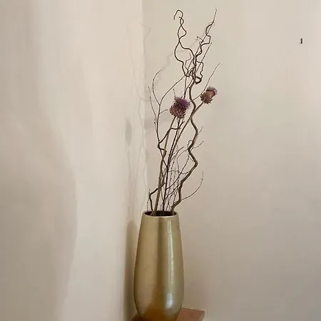 La Maison De Lily, Cosy Dans Le Vieux-hyeres, Parking Gratuit