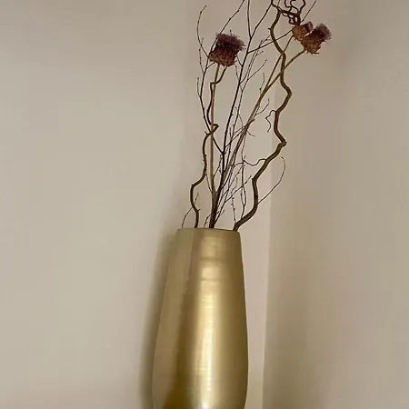 La Maison De Lily, Cosy Dans Le Vieux-hyères, Parking Gratuit Hyères