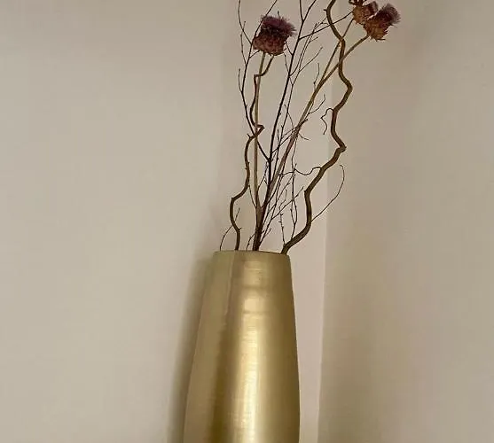 La Maison De Lily, Cosy Dans Le Vieux-hyeres, Parking Gratuit Ιέρ